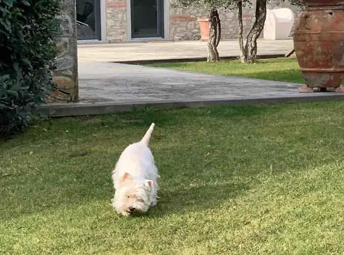 Σπίτι διακοπών In Con Piscina - Mhateria Relais Rignano sullʼArno